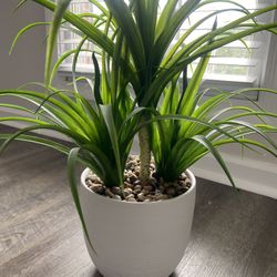 Artificial Plant 