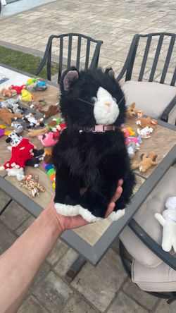 Ty Black Cat