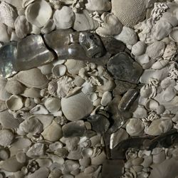 Ohm Symbol Sea Shell Mosaic 