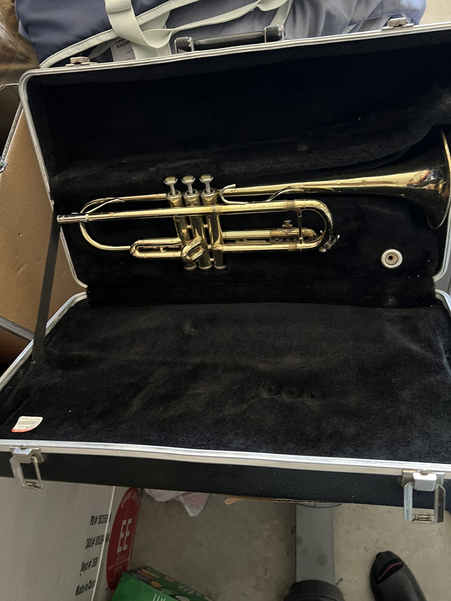 Golden Trumpet With Casing