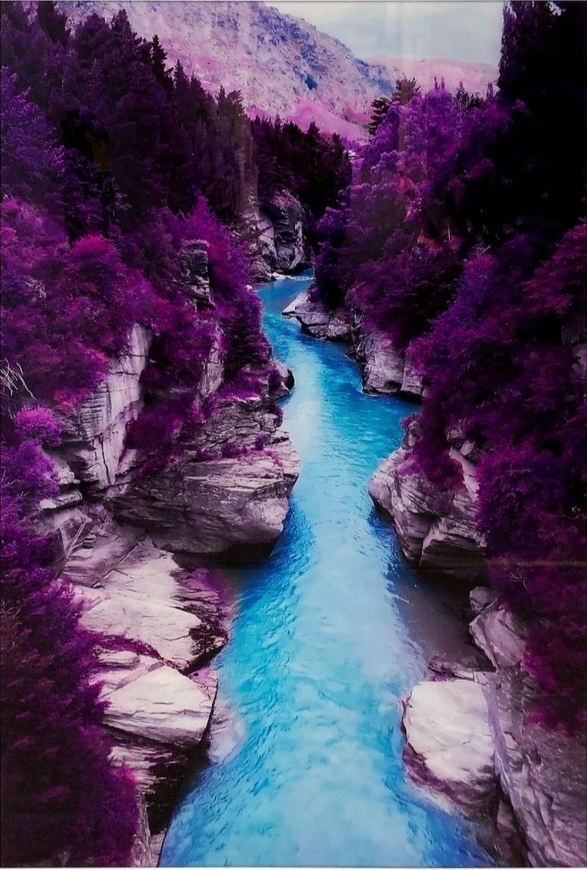 Tempered GLASS Wall Art