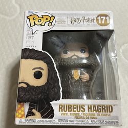 Rubeus Hagrid Harry potter