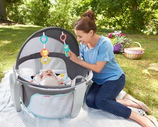 Fisher-Price Portable Bassinet On-The-Go Baby Dome Brand New