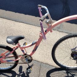 TrailerBike Tag-along Bike For Toddlers (Pink)