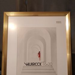 16x20  Picture Frames