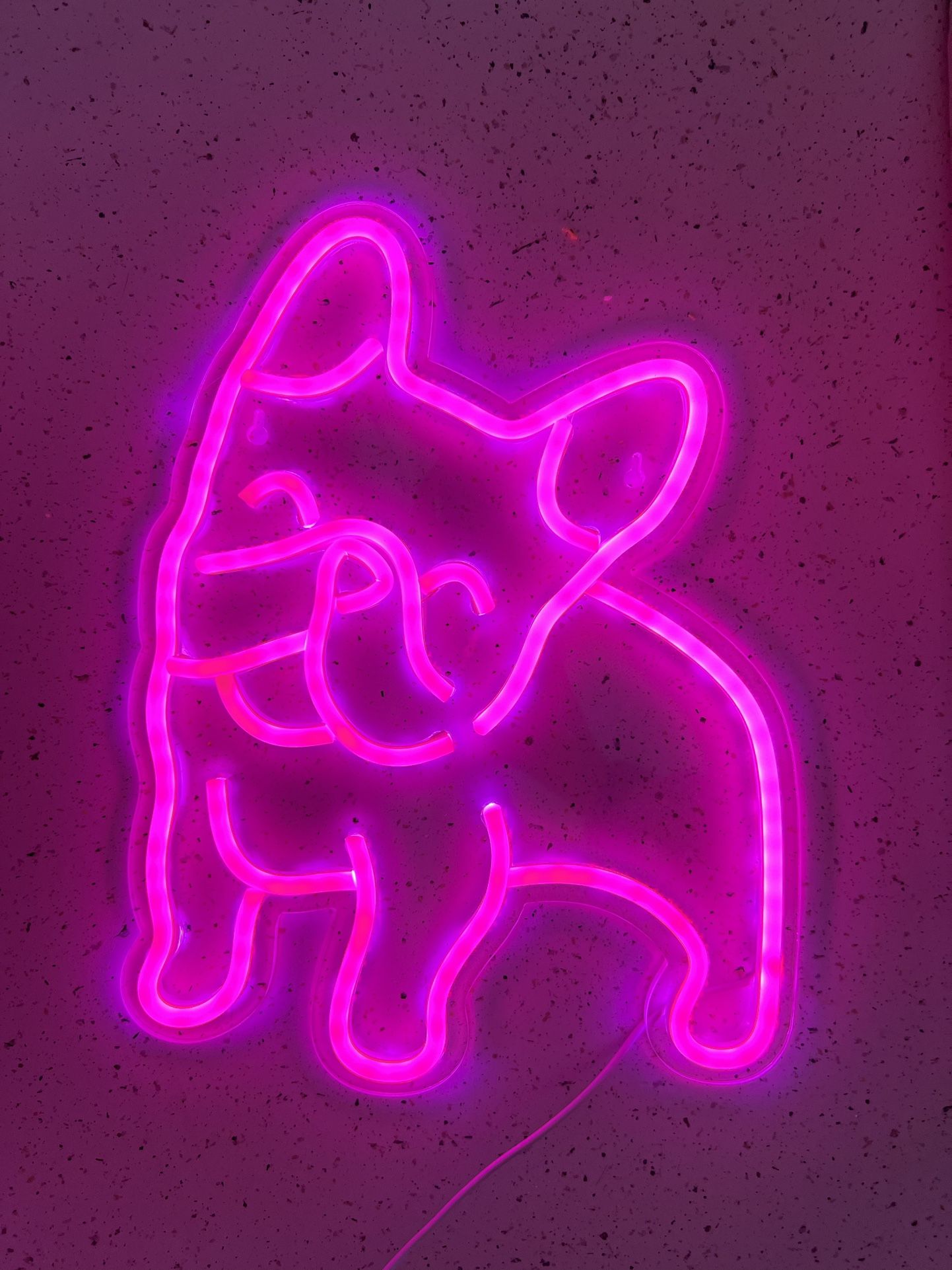 Frenchie / Bulldog Neon Sign