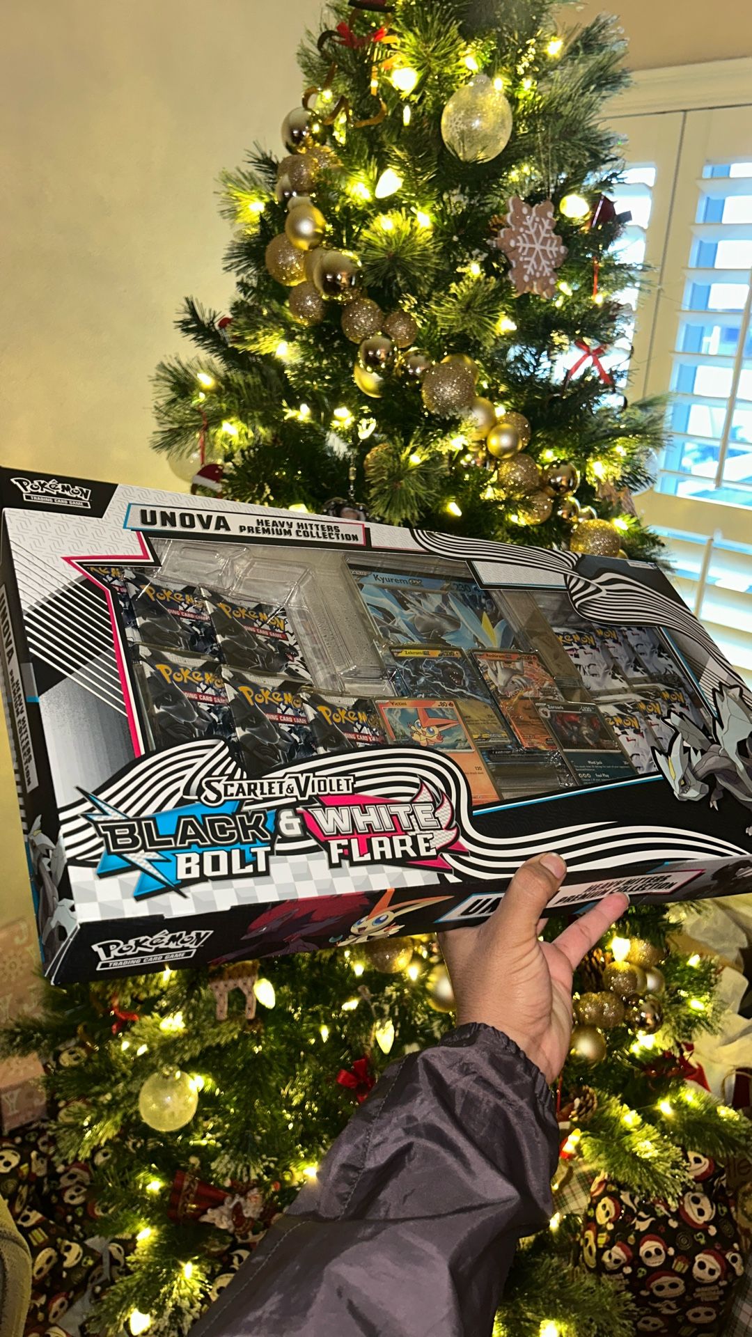 Pokemon Unova Box Black Bolt And White Flare