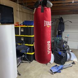Everlast Punching Bag