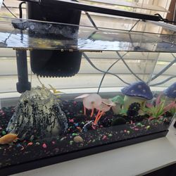 Fish tank with glow set up