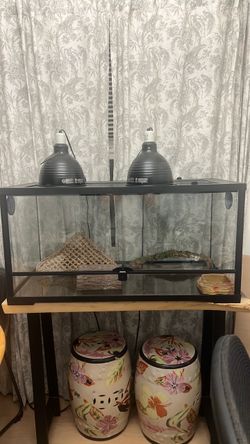 Thrive 40 Gal glass terrarium Kit