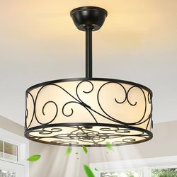 19" Caged Ceiling Fan w/ Light, Farmhouse Bladeless Fandelier w/ Remote, 6-Speed