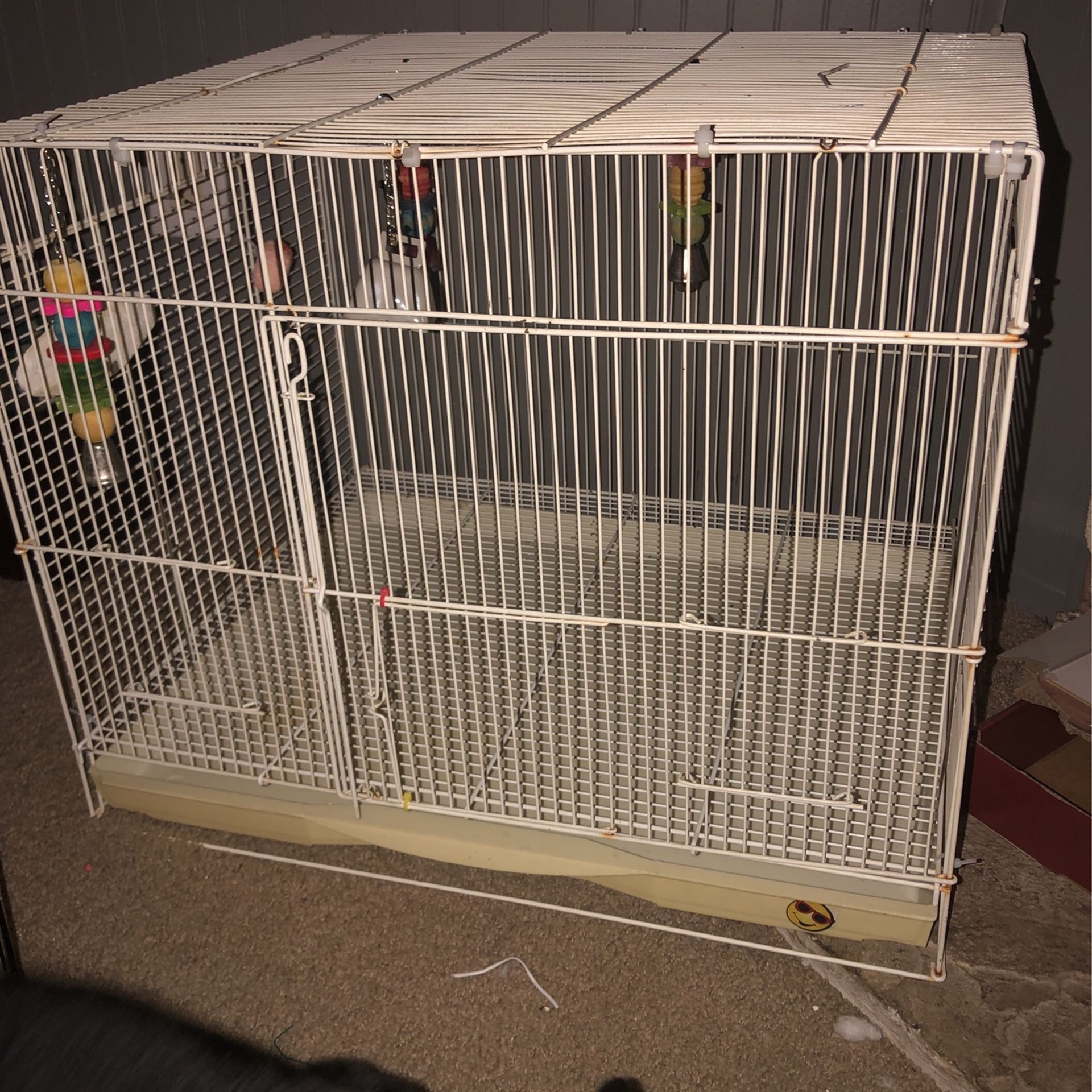 Bird Cages