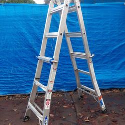13 Ft Multi Ladder 