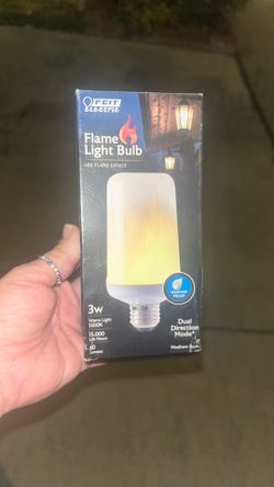 Flame Light Bulb 