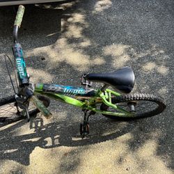 20” Boys BMX Type Bike
