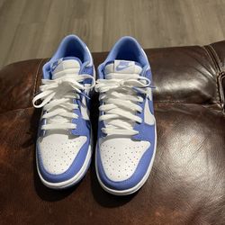 Dunks Size 10