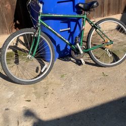 Outlook Dx DiamondBack 