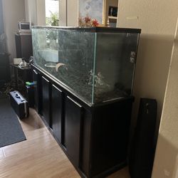 Fish Tank And Stand