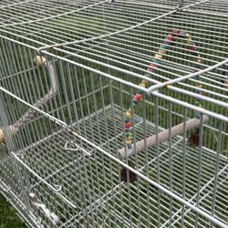 Bird Cage 