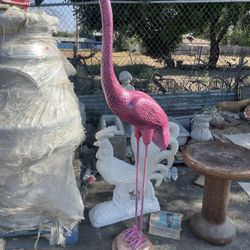 Flamingos