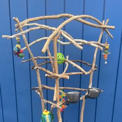 Parrot Perch Tree - Gorgeous And A Work Of Art… All Custom ! Breeder Direct ( Wholesale)…  Lots Of Birdee Love ❤️ 