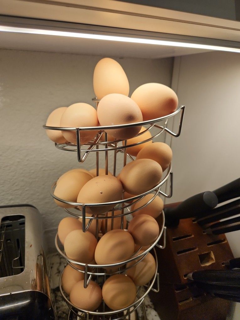 Organic Free Range Chicken Eggs (Price Per Dozen)