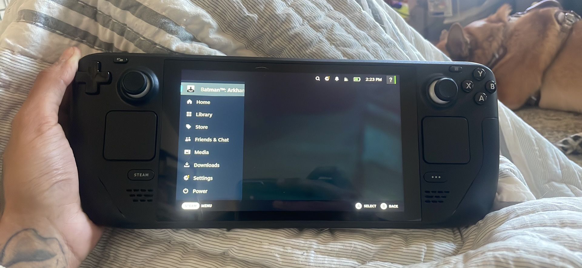 Steam deck 64 Gb W/ 164 Gb Chip