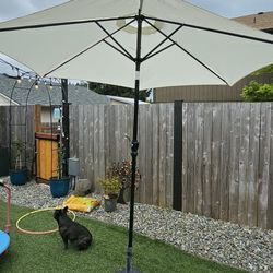 New Outdoor Umbrella 