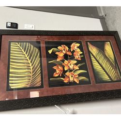 Beautiful Tropical Leaves Picture. 