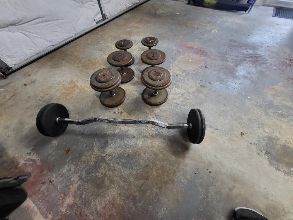 Weights. Workout