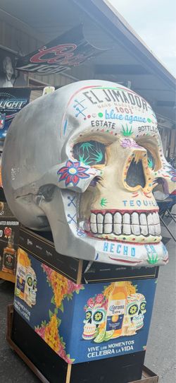 Xl skull