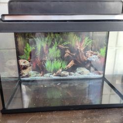 Marina 5 Gallon Aquarium With Hooded Light