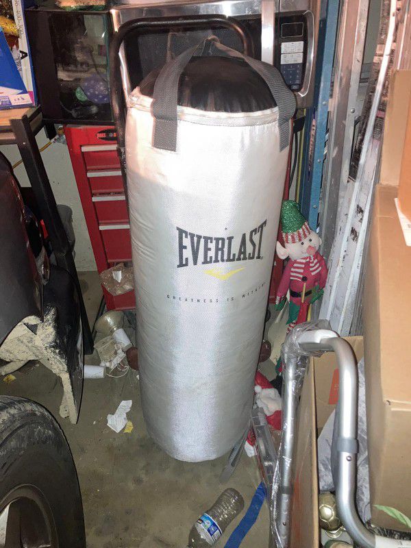 EVERLAST Punching Bag With Gloves