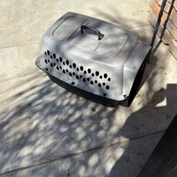 Nice Traveling Cat Are Dog Kennel