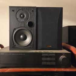 Polk 5 1/2 Shelf Speakers