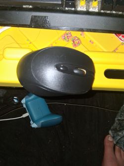 Mouse
