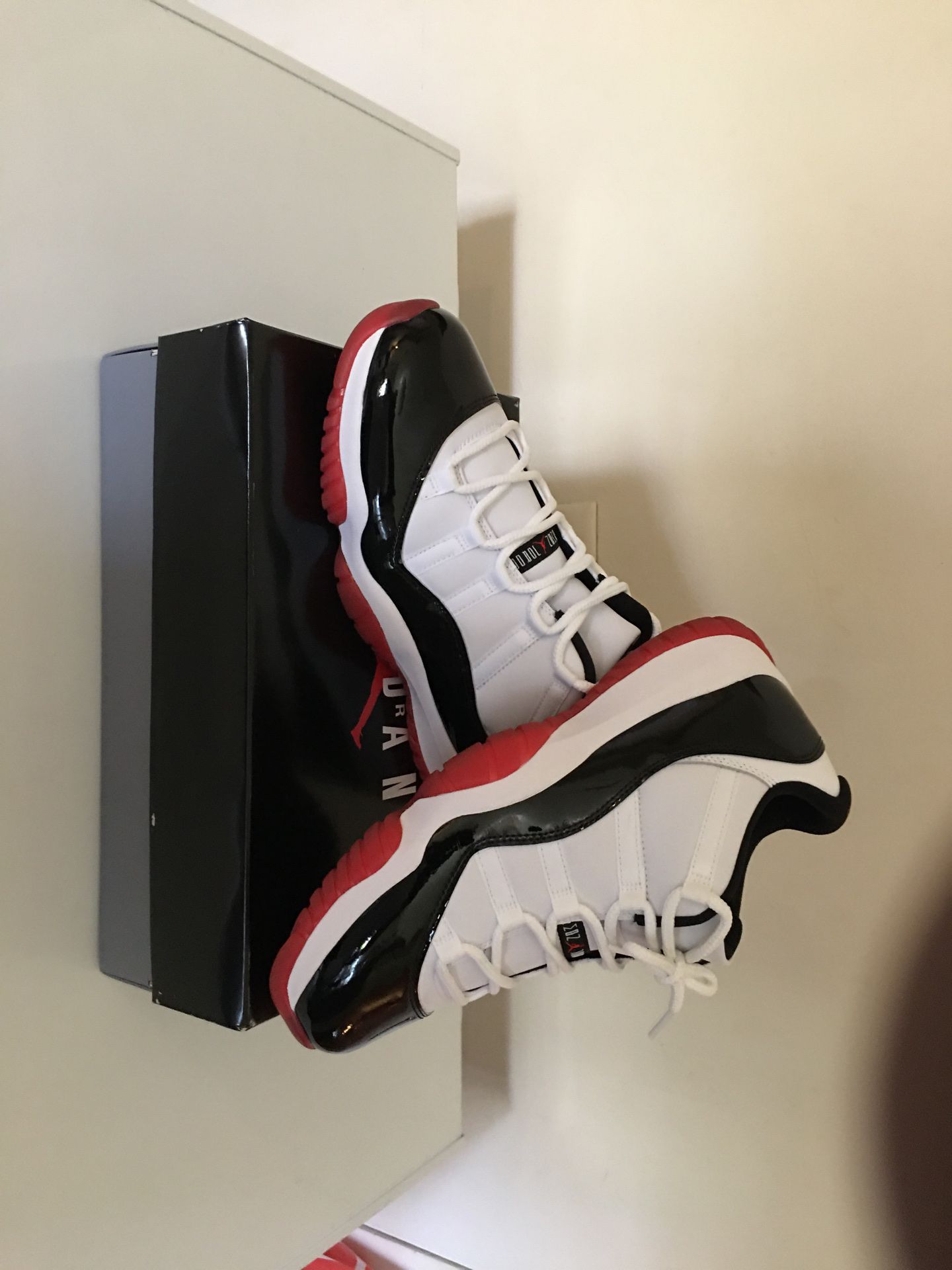 Jordan 11 lows
