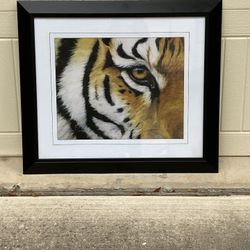 Tiger Eye Photo In Frame