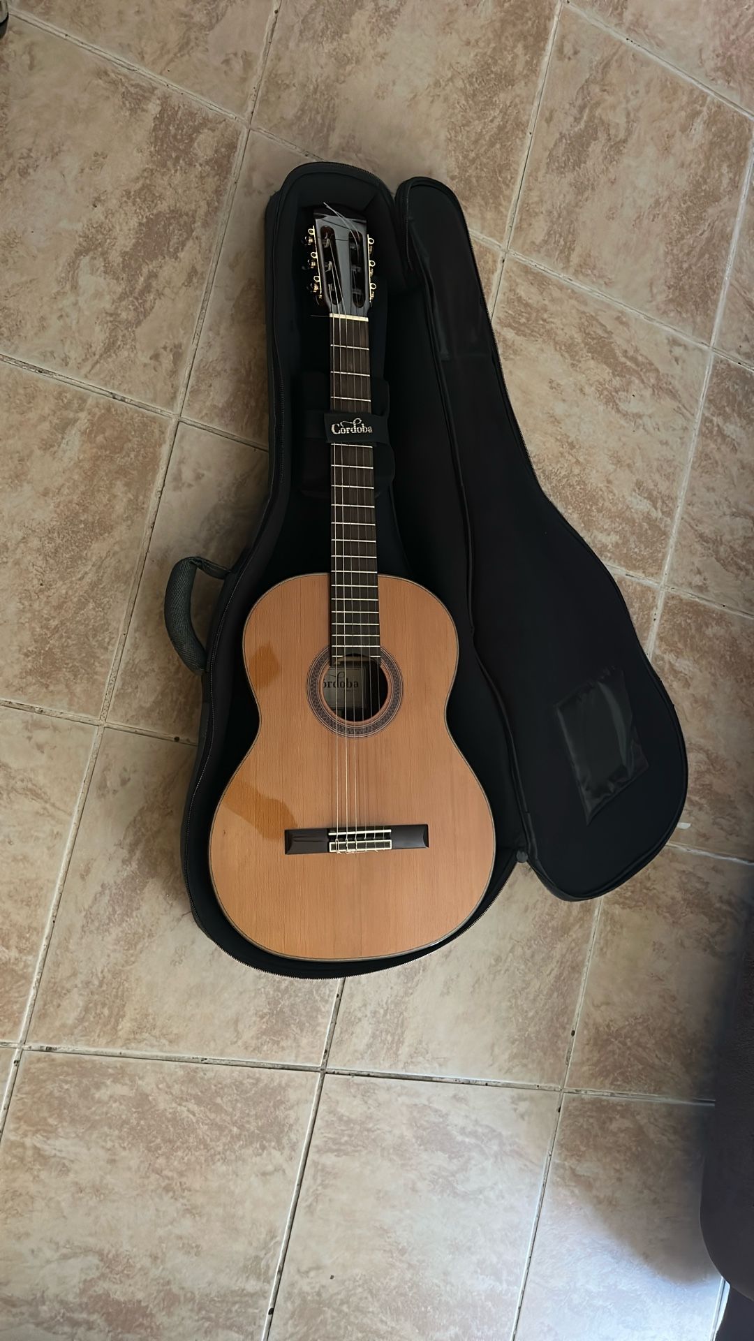 Cordoba C7 $300