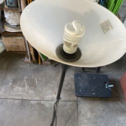 Floor Lamp