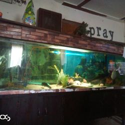 150 Gallon Fish Tank