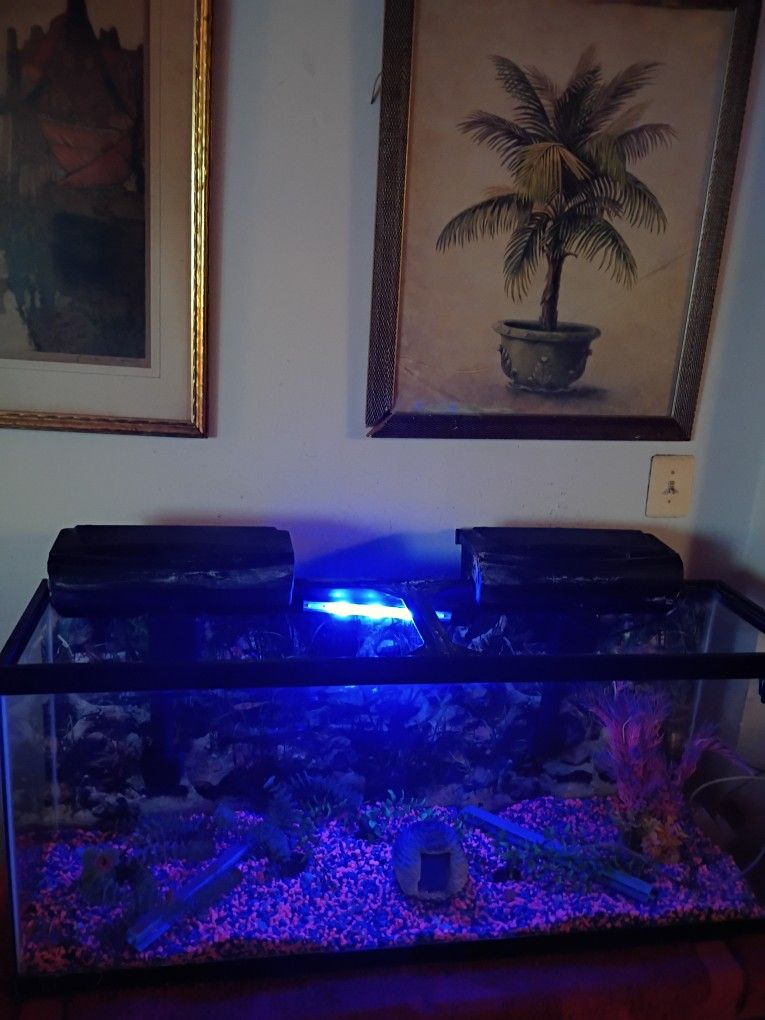 Make A Offer Fish Tank Or Snake Or Turtle Tank