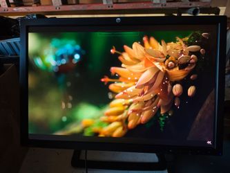1080P monitor