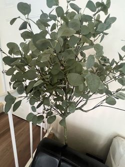 Large Artificial Eucalyptus Indoor Tree