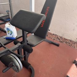 Leg Extension 
