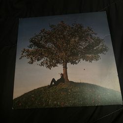 SLOWTHAI - TYRON VINYL LP (opened)