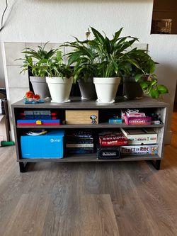 TV console