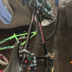 Windsor Bike 