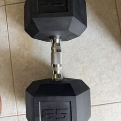 Dumbbell Weight - Single  65 Lb