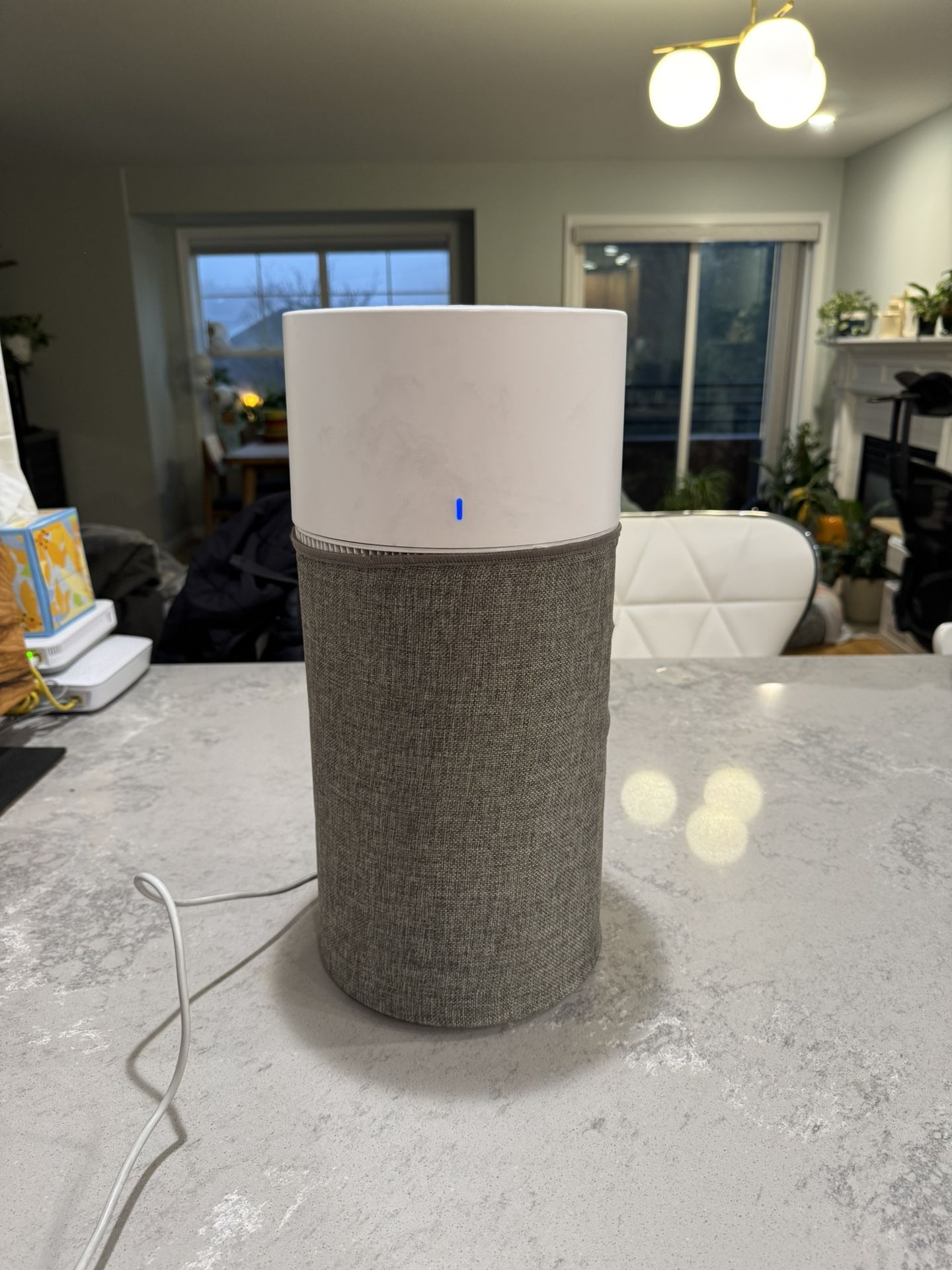 BlueAir Air Purifier